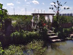 -樂桃源奉贤黄桃种植采摘基地