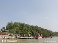 -大亚湾红树林城市湿地公园