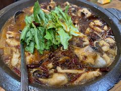 -都江堰石锅鱼