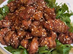 孜然羊肉-京尊烤鸭店JINGZUN(春秀路店)