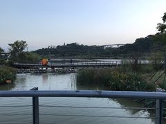 景点-飞凤山奥体公园