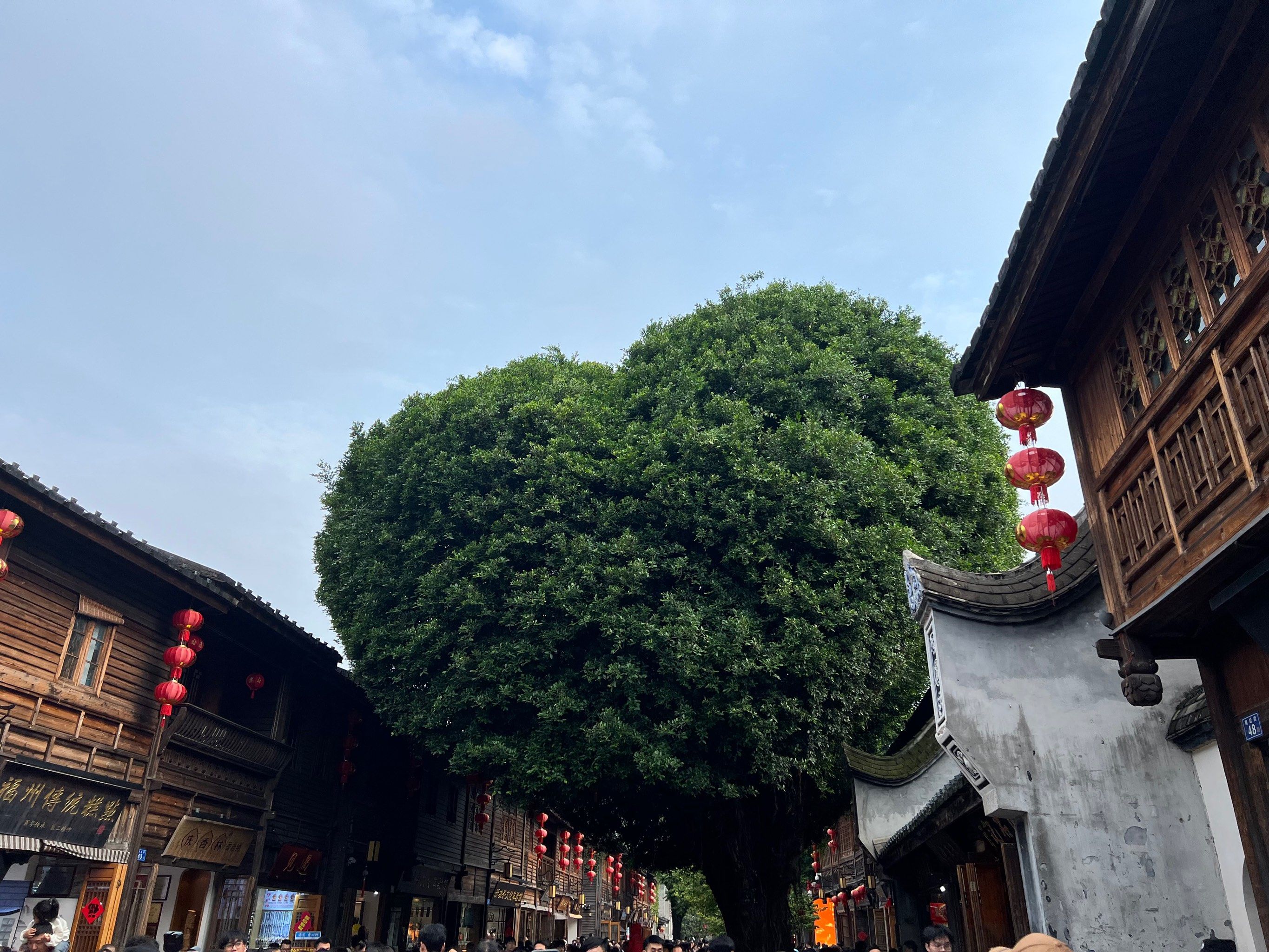 爱心树