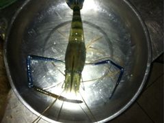 iphone_upload_pic-小象钓虾·营地烧烤(洛溪店)