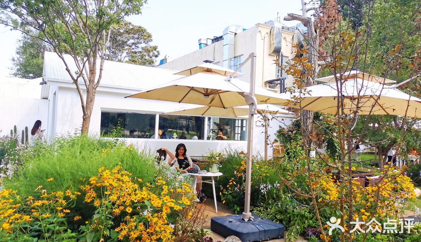 发呆一下午，出片300张