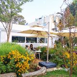 发呆一下午，出片300张