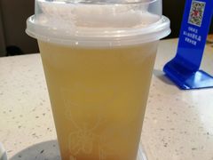 冻顶冰晶蜜桃乌龙茶-华辉拉肠(宝华店)