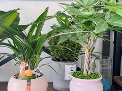 -万卉源鲜花店(百尚生活广场店)