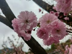 -贵阳市花溪国家城市湿地公园