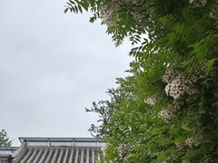 -北京石刻艺术博物馆(五塔寺)