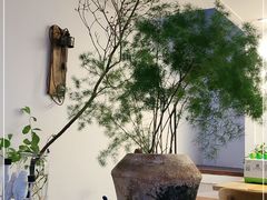 -汤厨(五道营店)