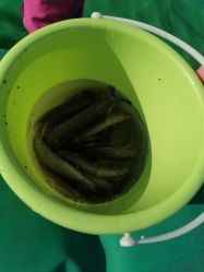 -小蜜蜂农场(凯德七宝购物广场店)
