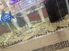 -喜来酌海鲜·饺子(和平一店)