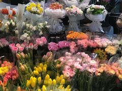 -循礼门鲜花花市(武汉循礼门店)