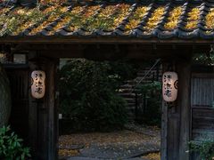 -夏津德百度假村温泉