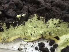 -纯坊佳哥手作(江汉路店)