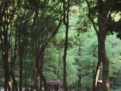 -广州市帽峰山景区
