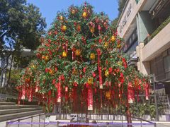 -连城·新天地(福华一路店)