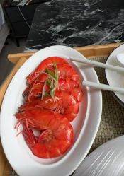 -星乐宝·沁漫月子中心(宝龙一城店)