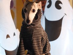 -小意思咖啡店(草桥店)