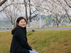 -羊山湖公园