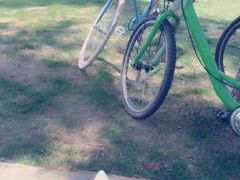 -艾溪湖湿地公园