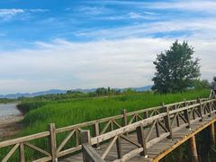 -野鸭湖国家湿地公园