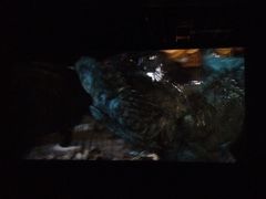 -中影佰纳国际影城DMAX(花都广百广场店)