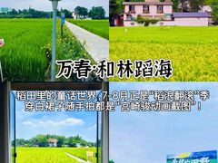 -老鼎万春卤菜(五代传承创始老店)