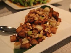 杏鮑菇-甲21号招待所