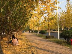 -浙江农林大学(东湖校区)