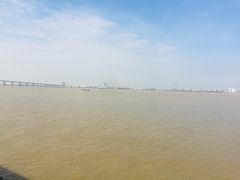 -大湾区中央湿地公园
