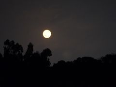 -福建鲤鱼洲酒店