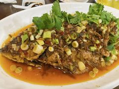 -飞虹鱼馆(春华路店)