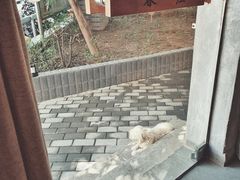 -春庄咖啡SpringHues(钟楼小区店)