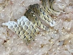 -官塘陈记鱼生·潮汕砂锅粥·牛肉火锅(潮枫路总店)