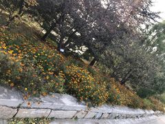 -北京鹫峰国家森林公园