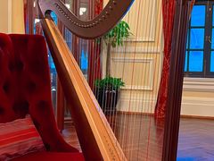 -Salon de Ville浦江汇(上海外滩华尔道夫酒店店)