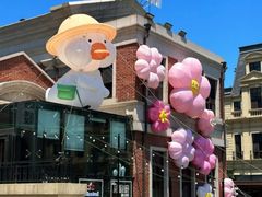 -正德楼果木烤鸭·渔家菜(东港店)