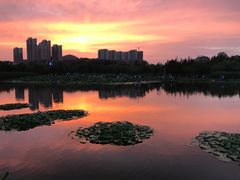 -前关湿地公园