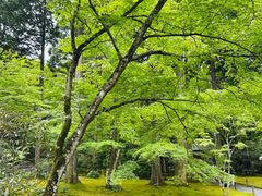 -三千院