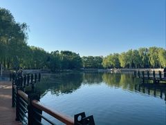 -黛秀湖公园