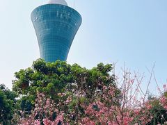 -狐尾山公园
