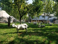 -九十九顶毡房(阜石路店)