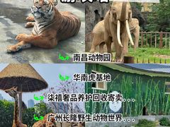 -南昌动物园
