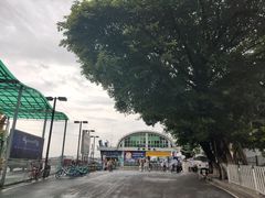 -鱼珠码头(轮渡站)