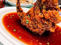 糖醋黄河鲤鱼-梅飞酒家(名辉豪庭店)