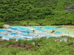 -黄龙山原始森林景区
