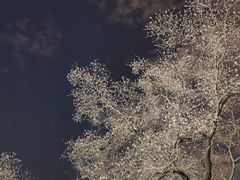 -外滩