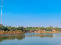 -福田红树林生态公园
