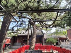 -红螺寺